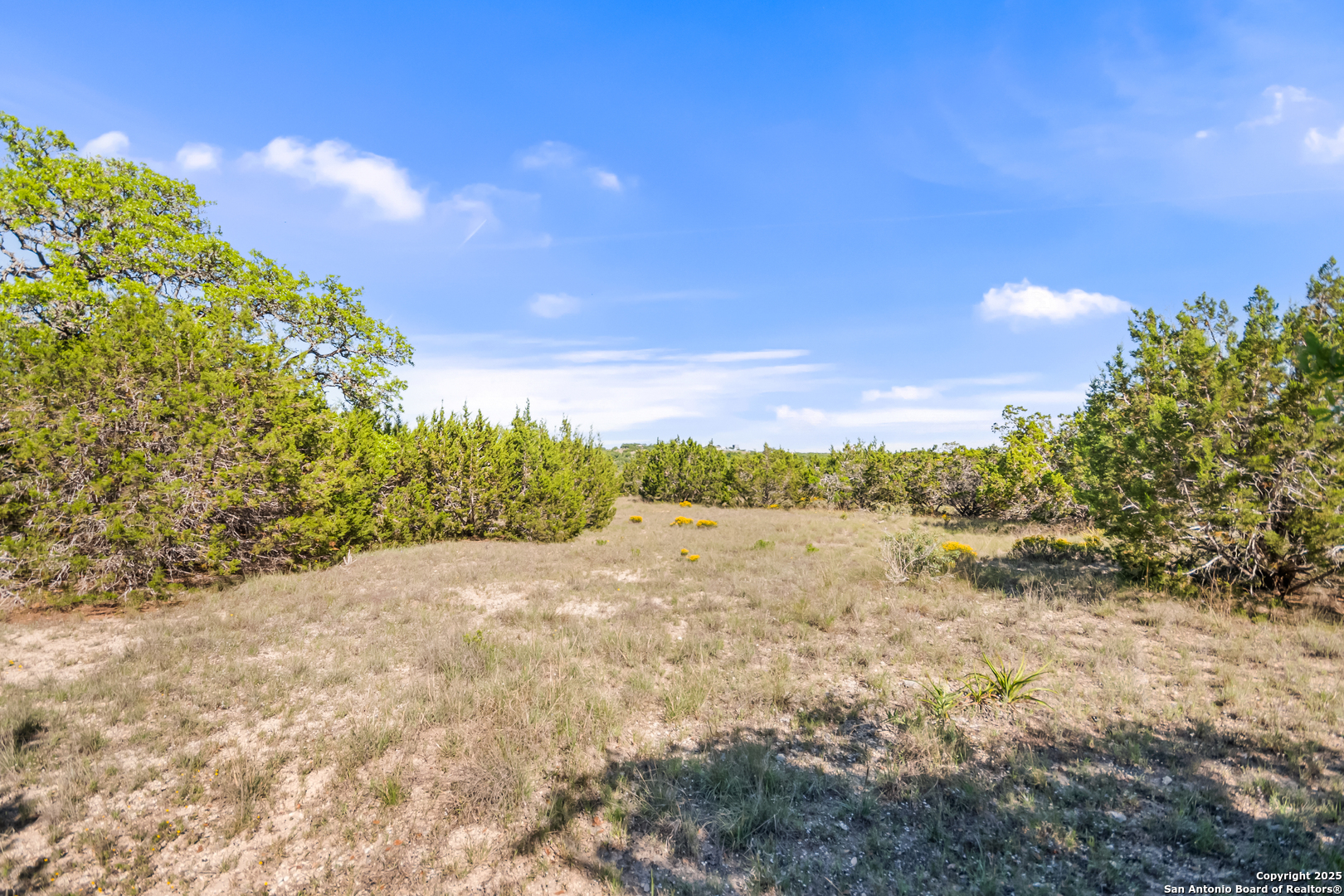 207 Lantana Hollow Boerne TX 78006