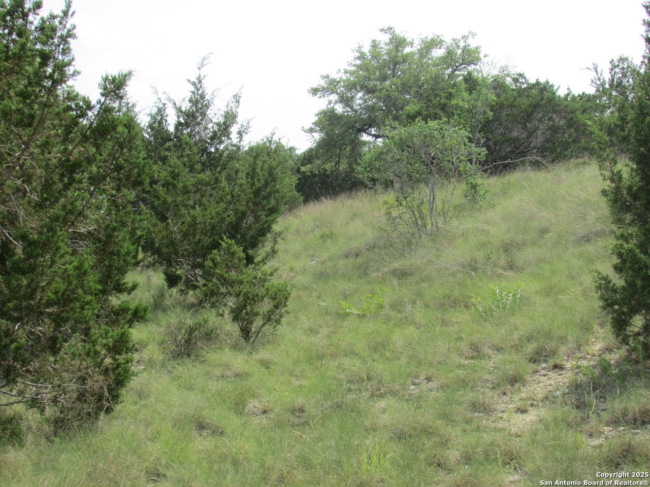 207 Lantana Hollow Boerne TX 78006