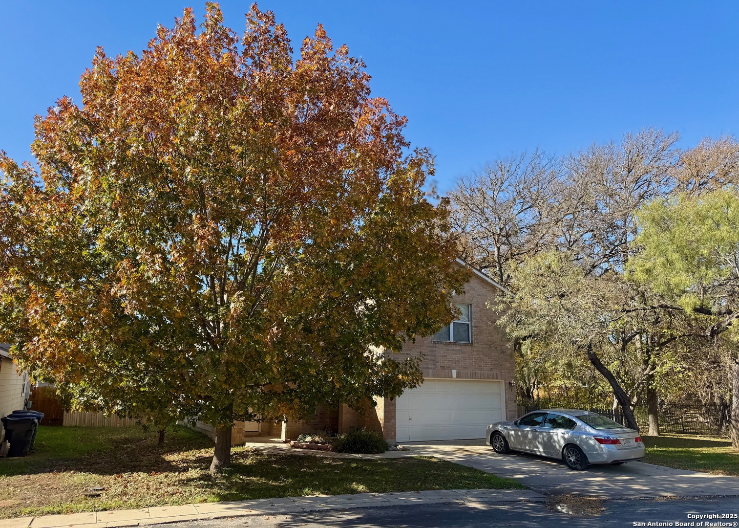 11 Viking Oak San Antonio TX 78247