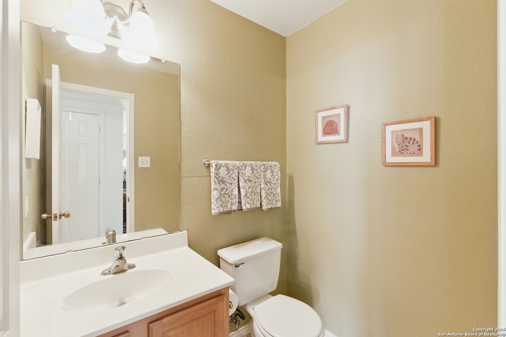 11 Viking Oak San Antonio TX 78247