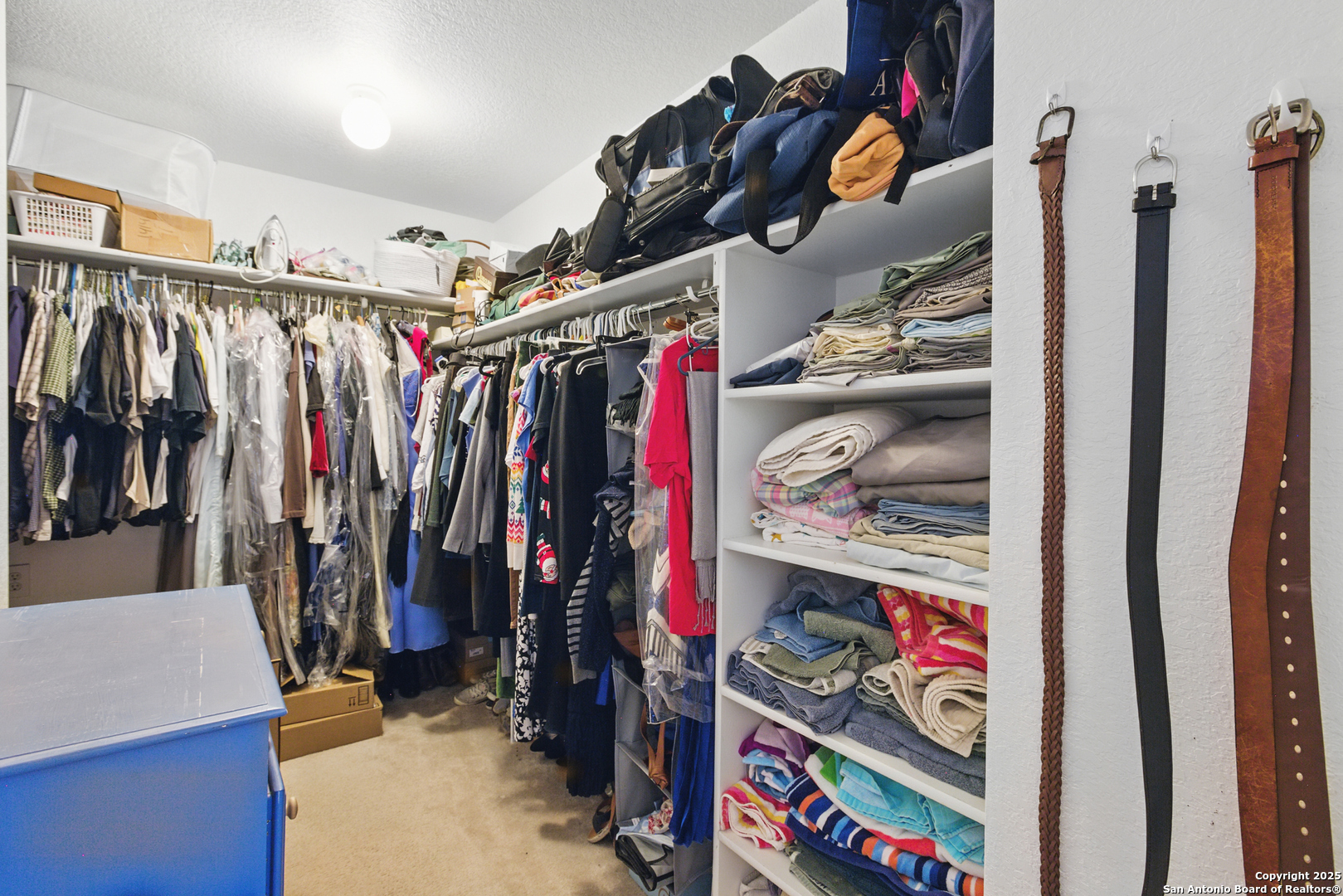 11 Viking Oak San Antonio TX 78247