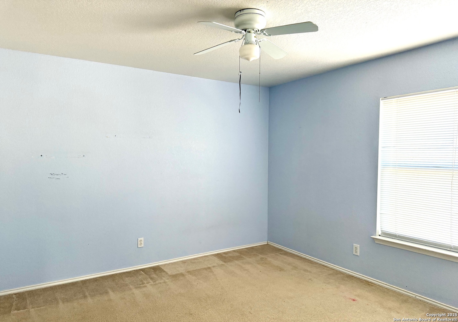11 Viking Oak San Antonio TX 78247