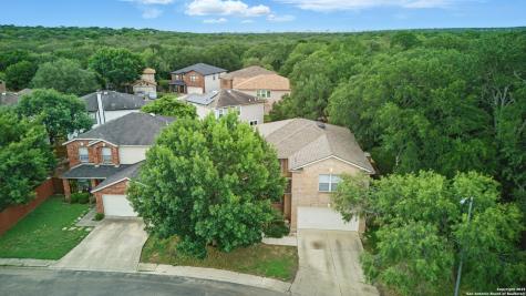 11 Viking Oak San Antonio TX 78247