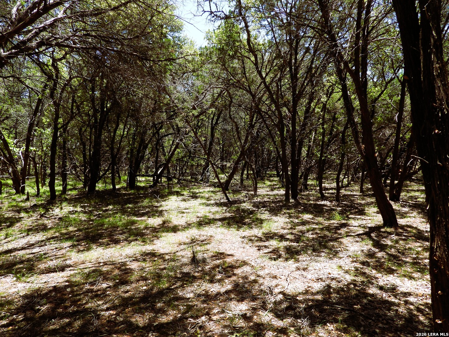 1059 Lakeside Drive Lakehills TX 78063