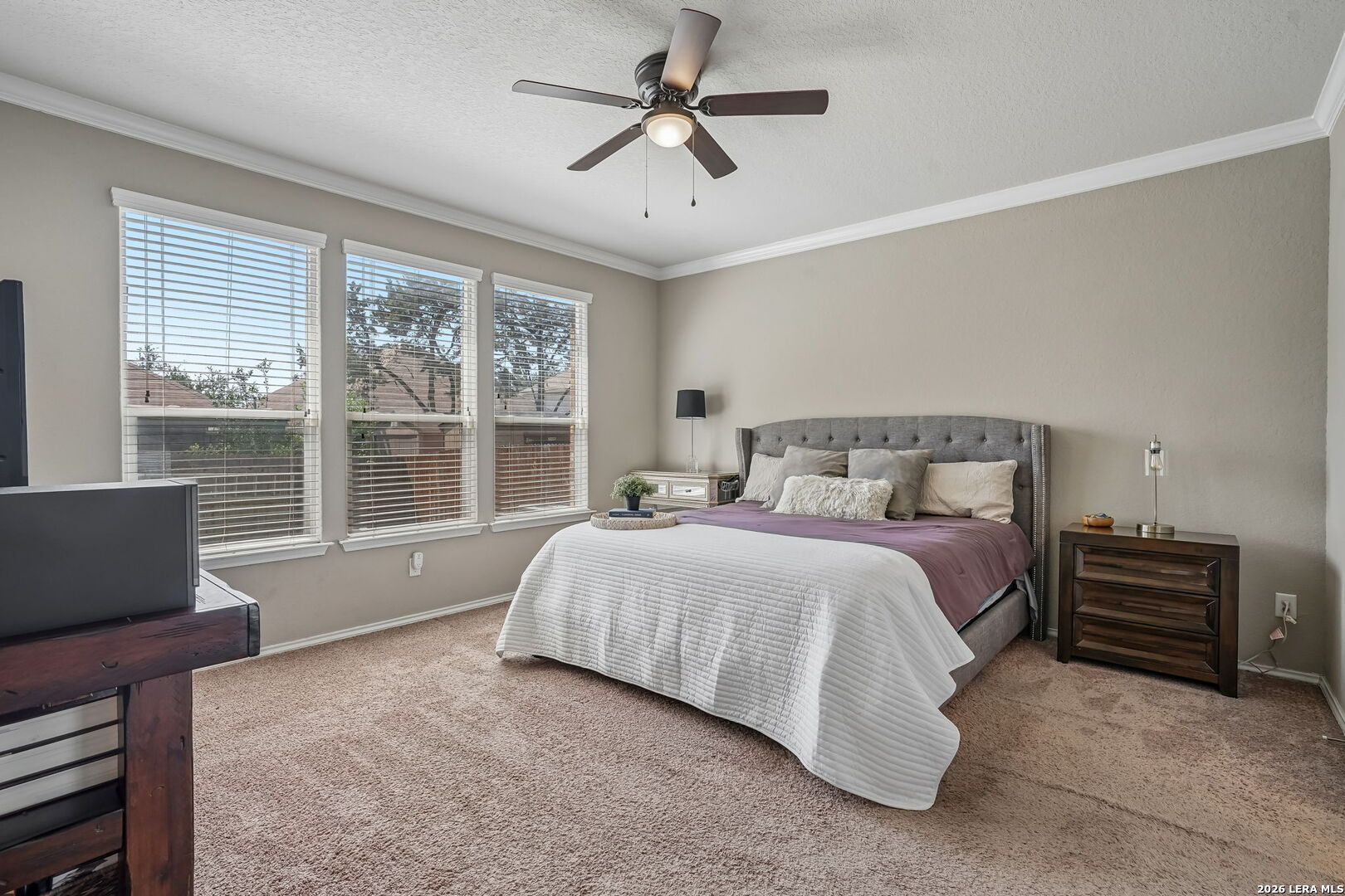 10858 Red Sage Helotes TX 78023