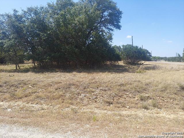 Lot 448 Williams Wood Blanco TX 78606