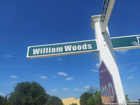 Lot 448 Williams Wood Blanco TX 78606