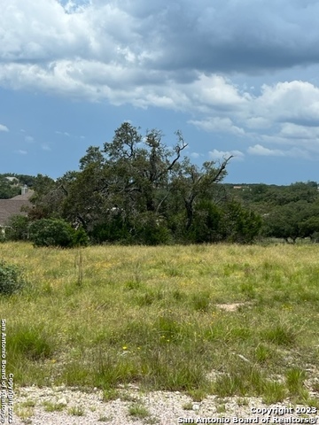 102 Ephraim Mclane Blanco TX 78606