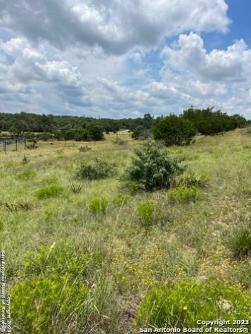 102 Ephraim Mclane Blanco TX 78606