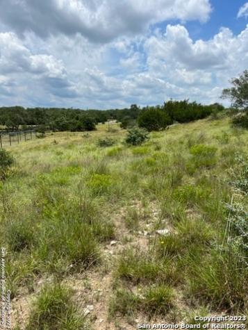 102 Ephraim Mclane Blanco TX 78606