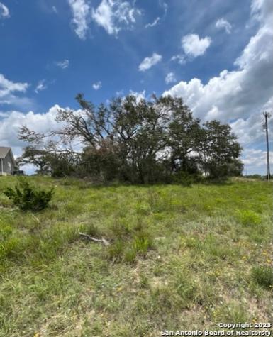 102 Ephraim Mclane Blanco TX 78606