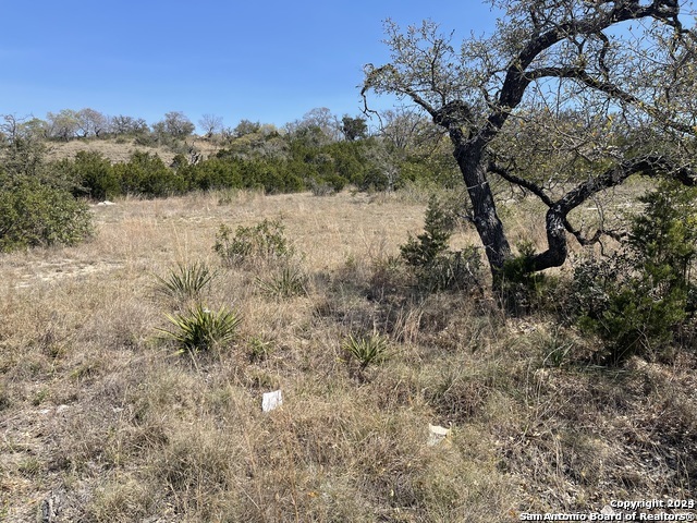 23111 Norfolk Canyon San Antonio TX 78255
