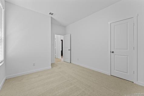 31952 Ambrose Street Bulverde TX 78163