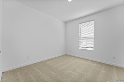 31952 Ambrose Street Bulverde TX 78163