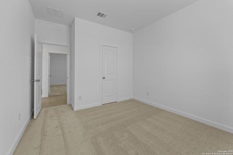 31952 Ambrose Street Bulverde TX 78163