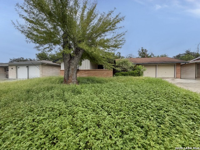 3446 Chateau Drive San Antonio TX 78219