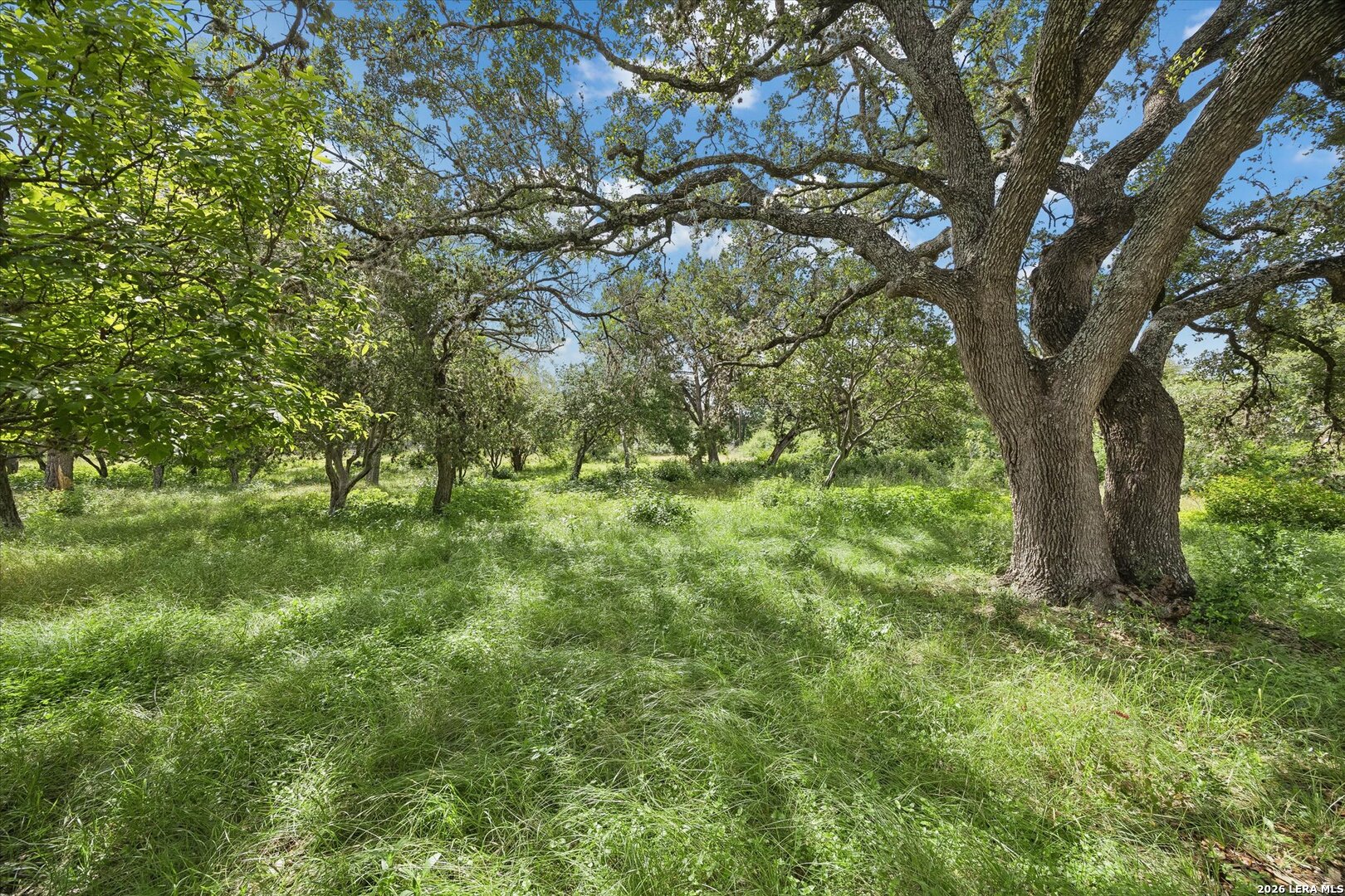 6647 Stonykirk Road San Antonio TX 78240
