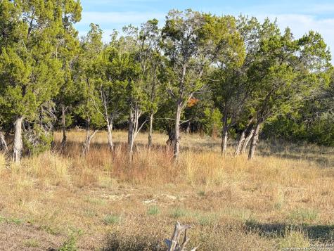 Tbd Terra Vista Court Canyon Lake TX 78133