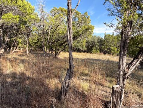 Tbd Terra Vista Court Canyon Lake TX 78133