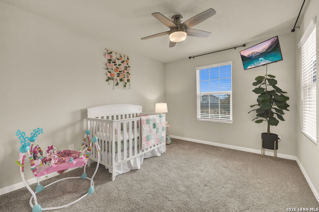 2847 Calandra Lark New Braunfels TX 78130