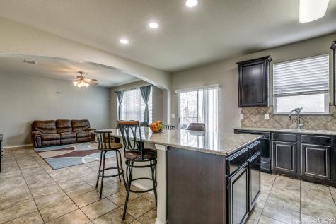 10743 Gazelle Cliff San Antonio TX 78245