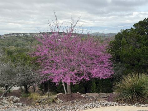 25011 Caliza Boerne TX 78006