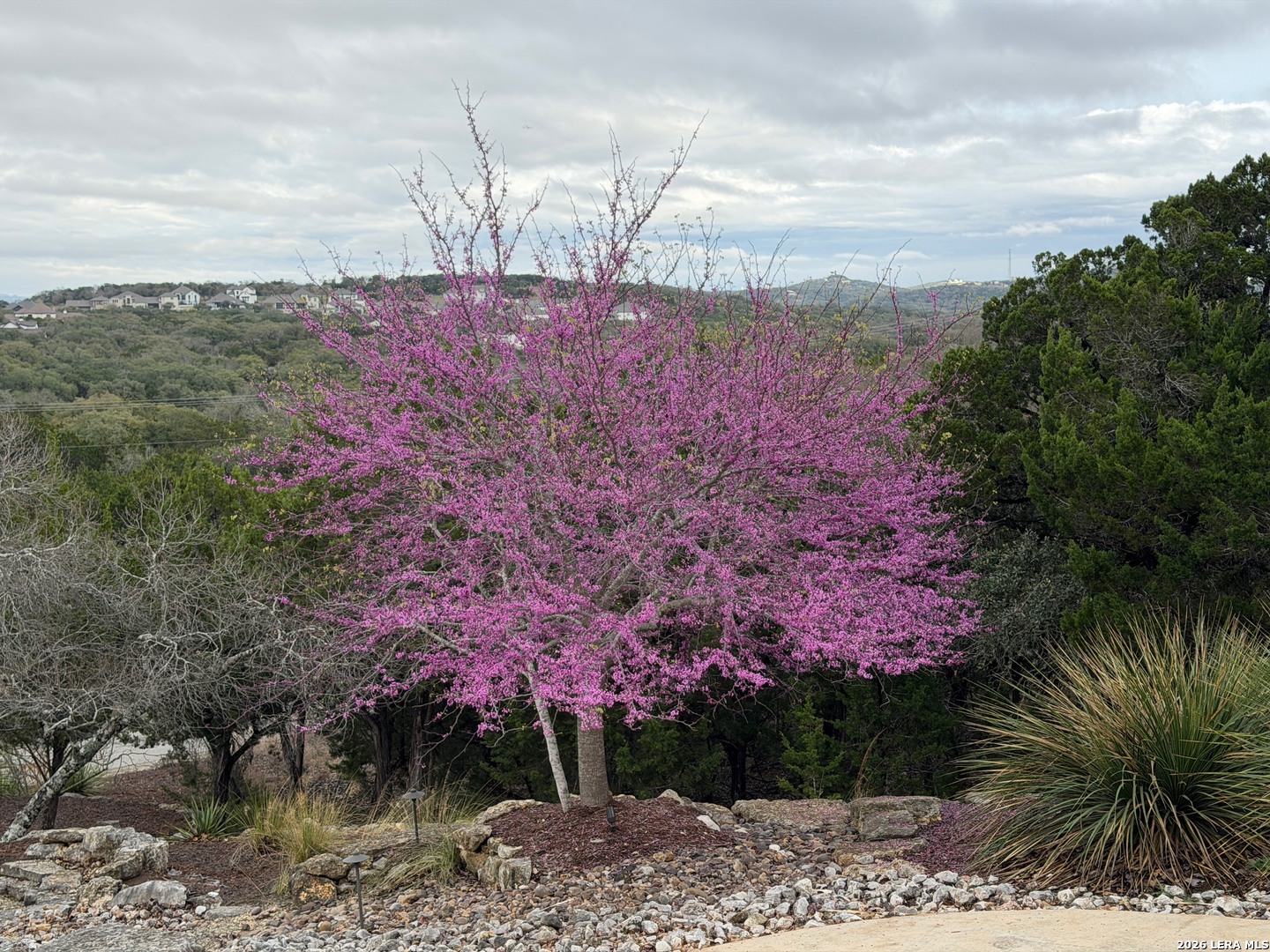 25011 Caliza Boerne TX 78006