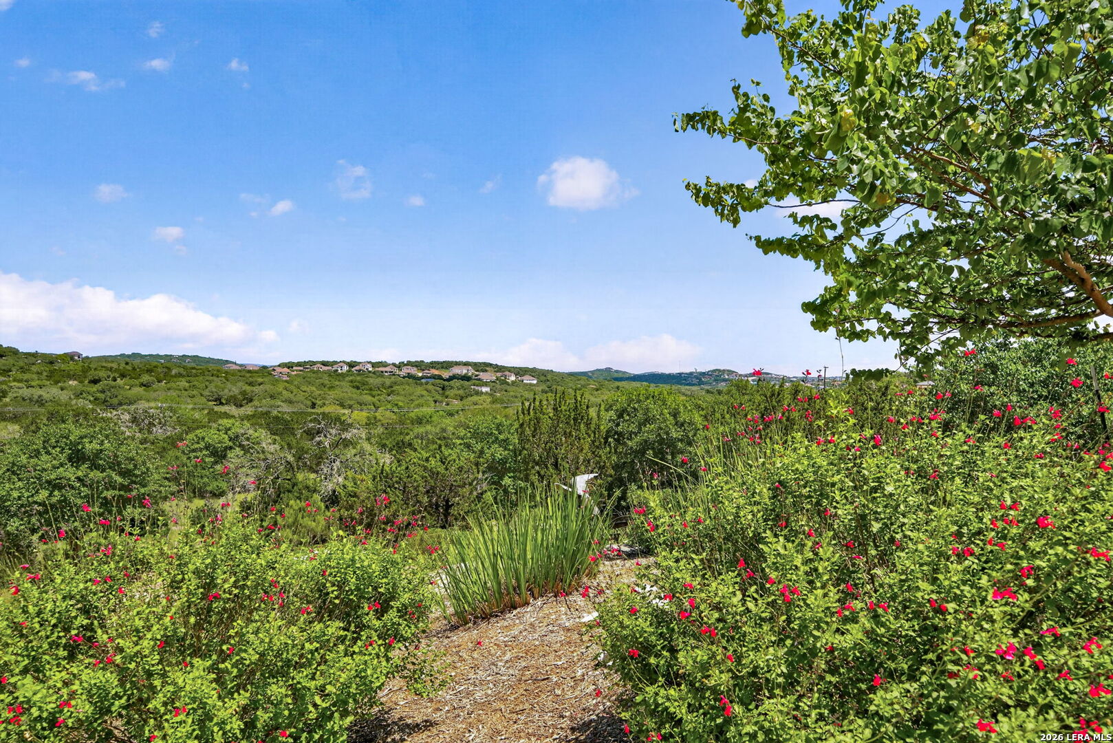 25011 Caliza Boerne TX 78006