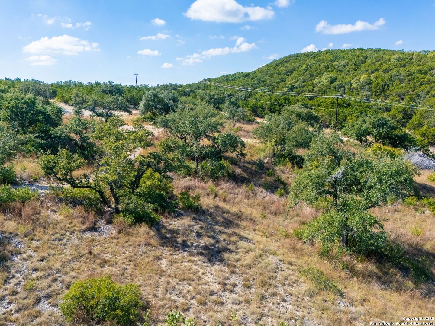 23703 Oakshire San Antonio TX 78255