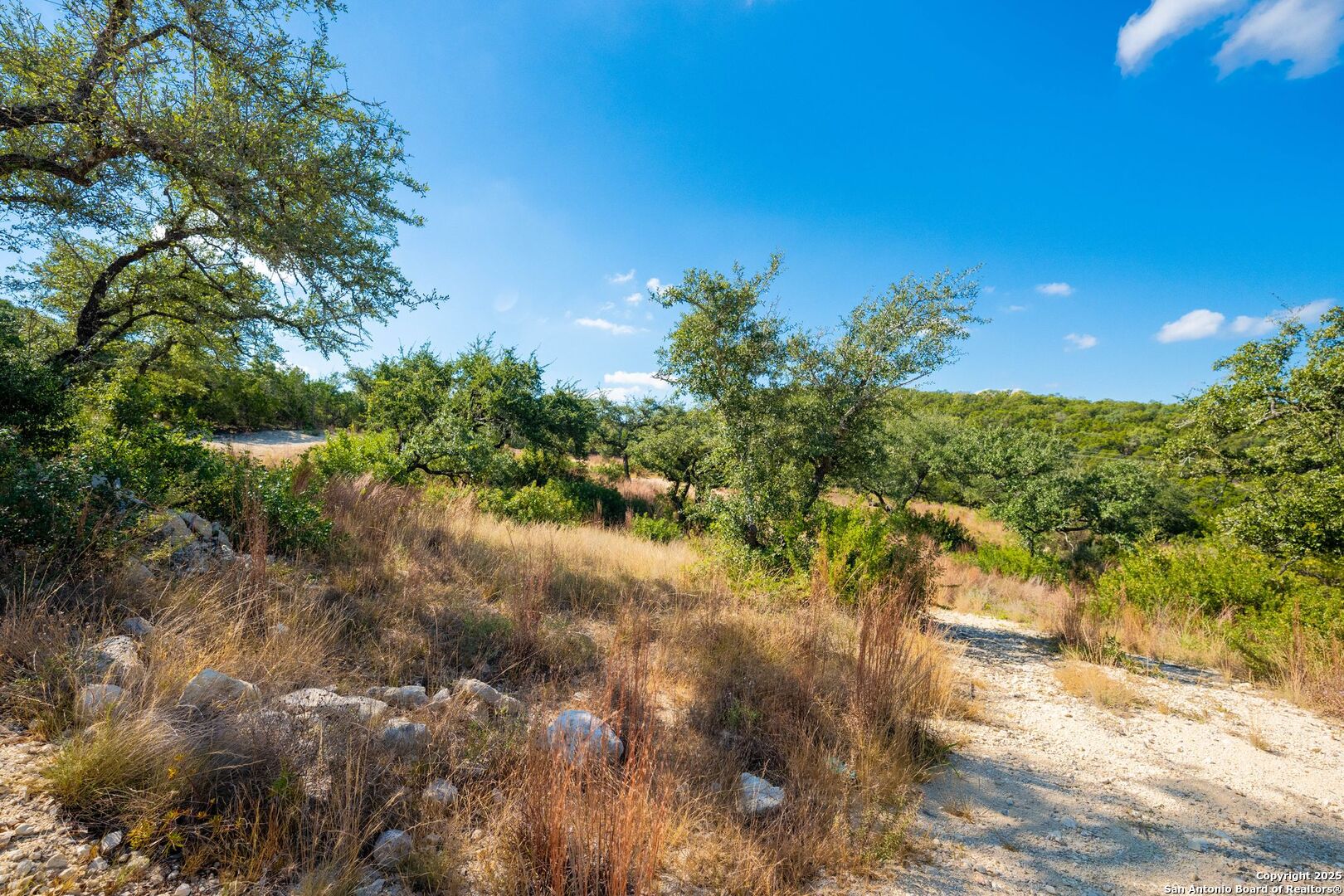 23703 Oakshire San Antonio TX 78255