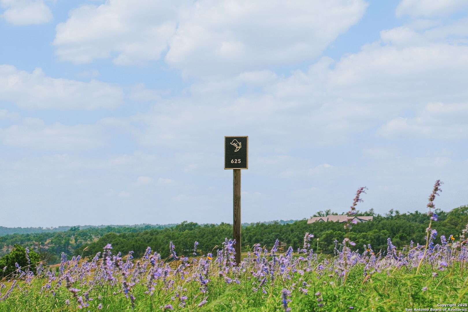 Lot 625 W Eldorado Ridge Drive Fredericksburg TX 78624