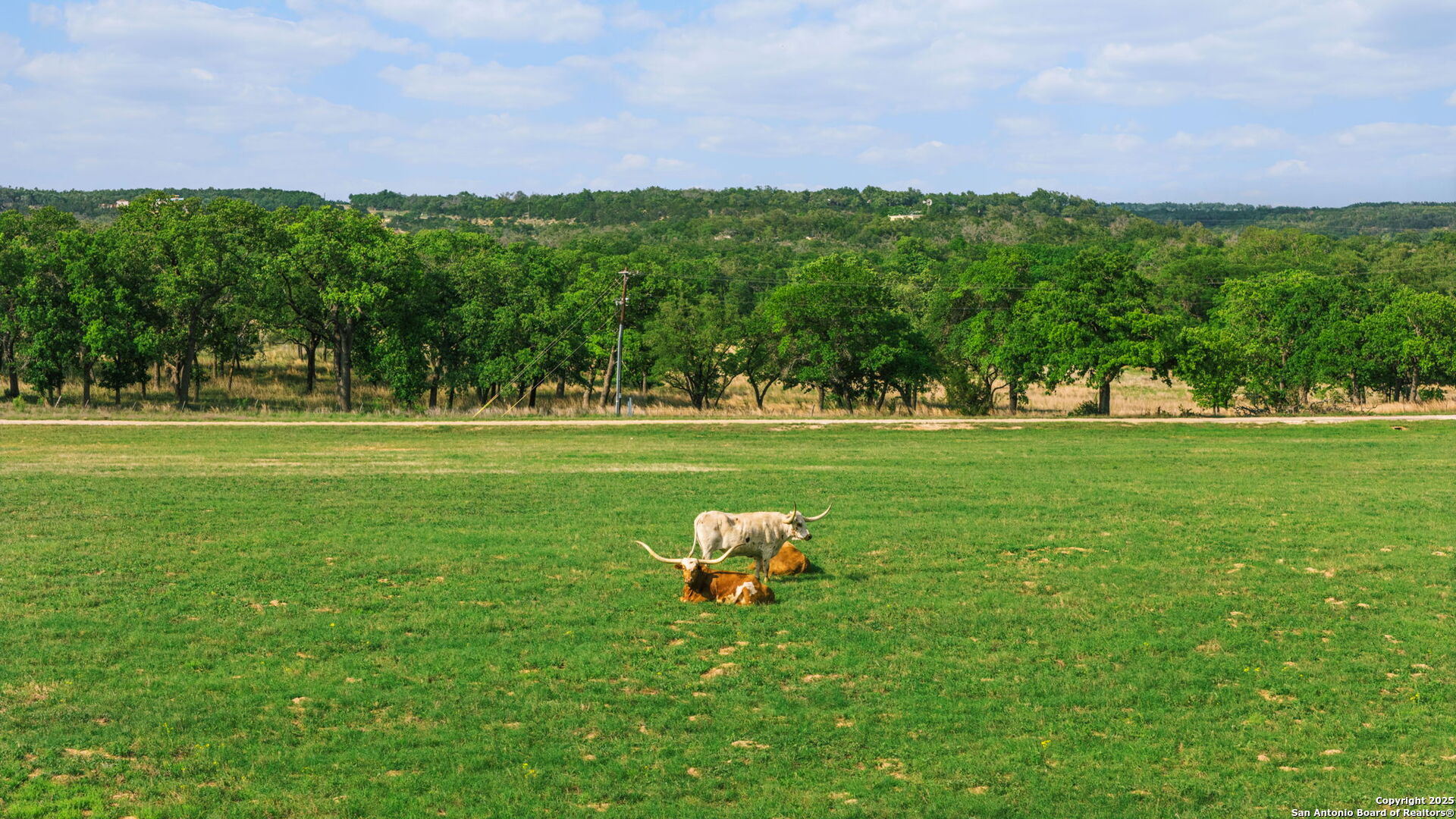 Lot 625 W Eldorado Ridge Drive Fredericksburg TX 78624