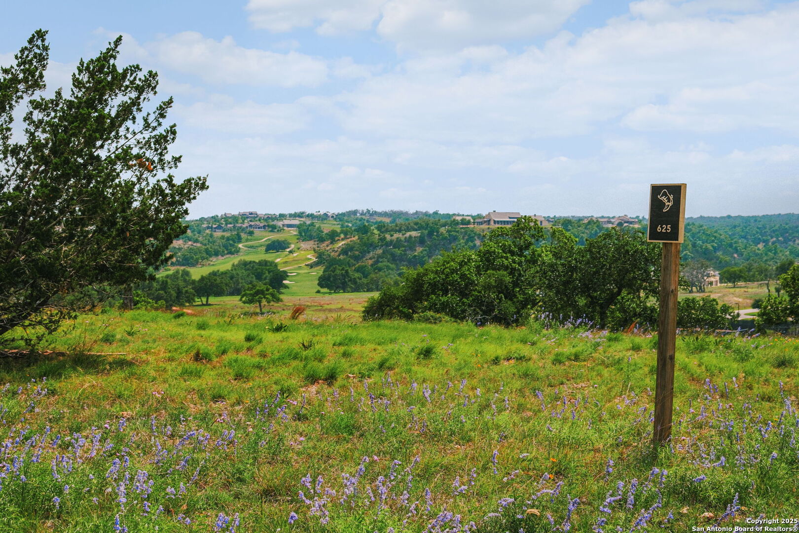Lot 625 W Eldorado Ridge Drive Fredericksburg TX 78624