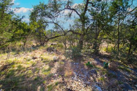 436 Cavy New Braunfels TX 78132