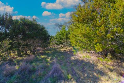 436 Cavy New Braunfels TX 78132