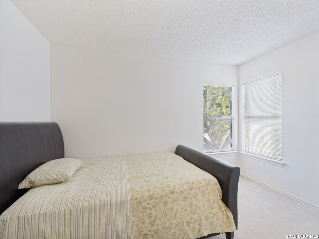 8022 Chestnut Ash Drive Converse TX 78109