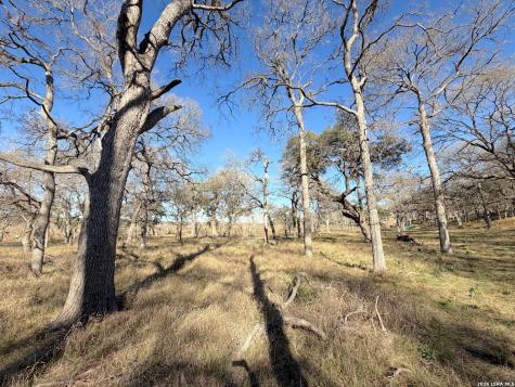 2162 Sierra Madre Canyon Lake TX 78133