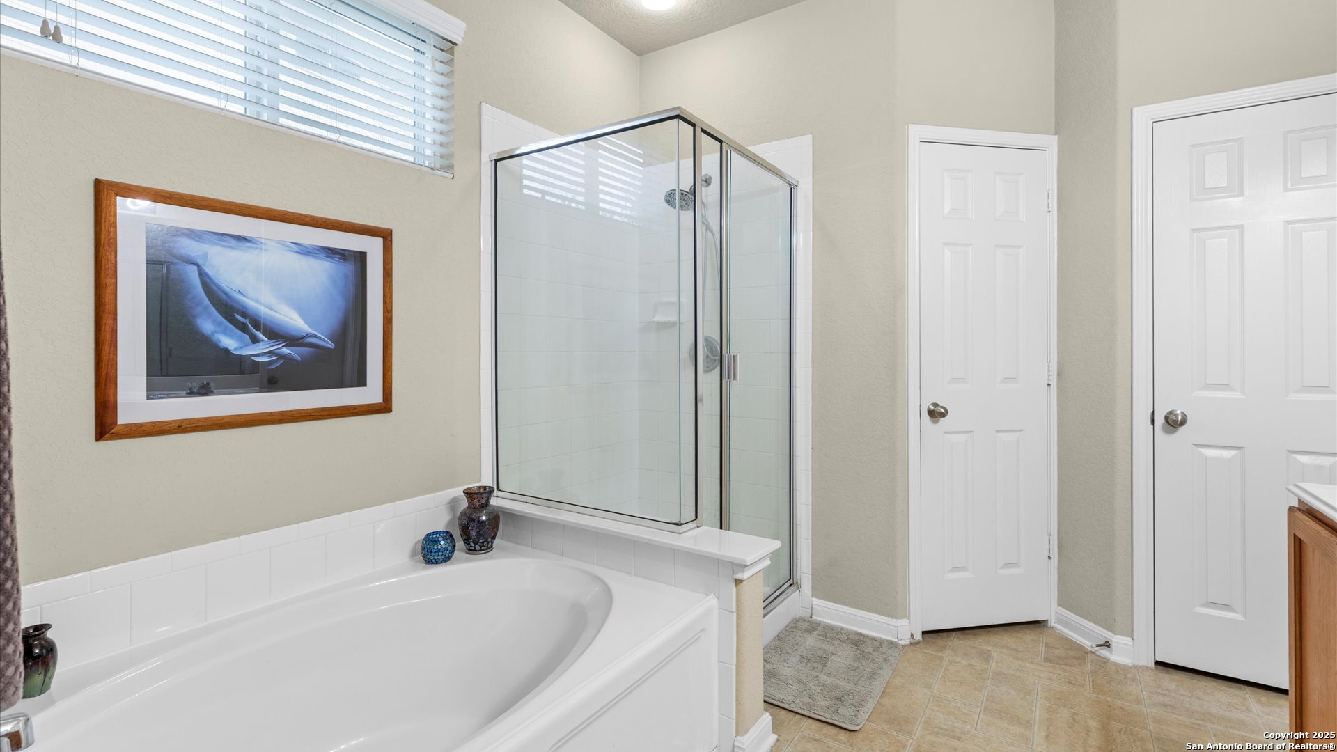 325 Golden Bear Drive Cibolo TX 78108