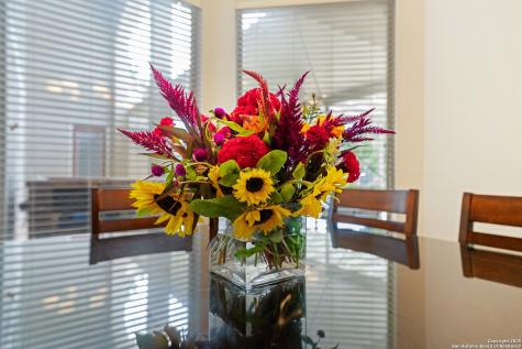 30900 Woodbine Way Boerne TX 78015