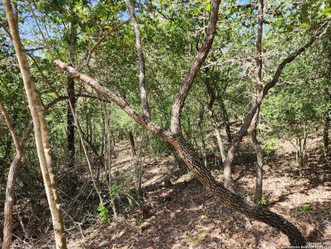 Lot 310 Kalihi Court Bastrop TX 78602