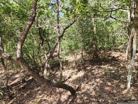Lot 310 Kalihi Court Bastrop TX 78602