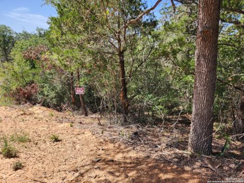 Lot 310 Kalihi Court Bastrop TX 78602