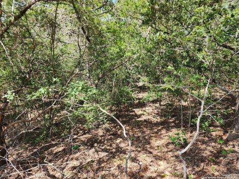 Lot 310 Kalihi Court Bastrop TX 78602