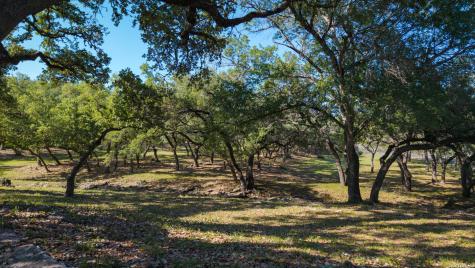 28337 Leslie Pfeiffer Drive Boerne TX 78015