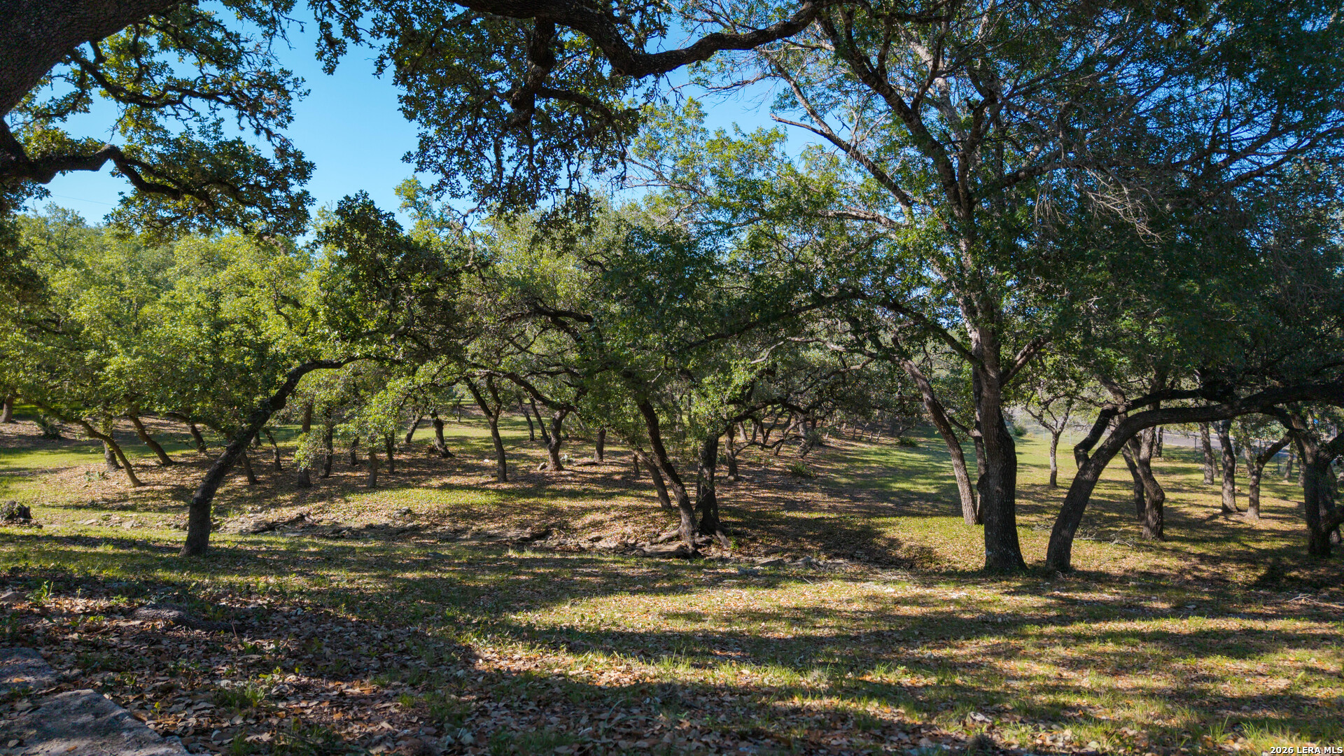 28337 Leslie Pfeiffer Drive Boerne TX 78015