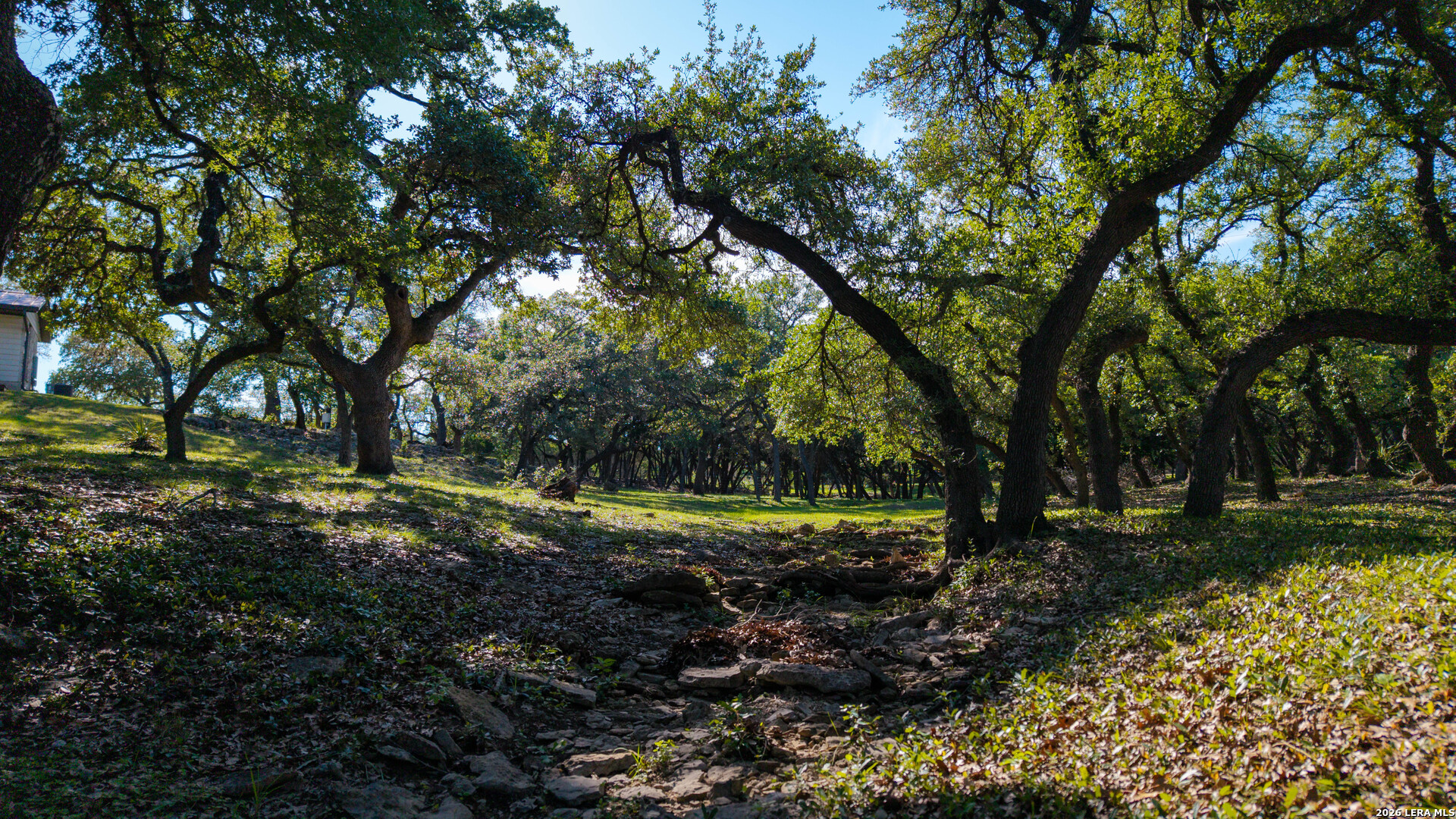 28337 Leslie Pfeiffer Drive Boerne TX 78015