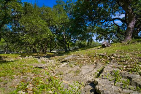 28337 Leslie Pfeiffer Drive Boerne TX 78015