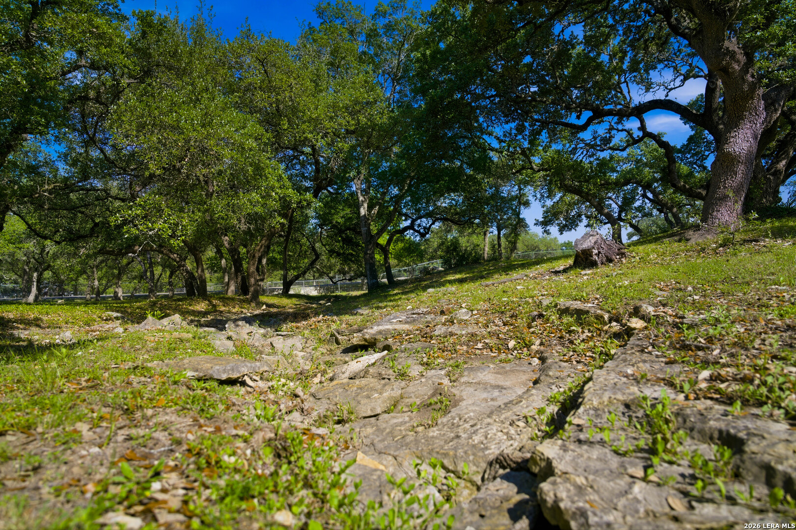 28337 Leslie Pfeiffer Drive Boerne TX 78015