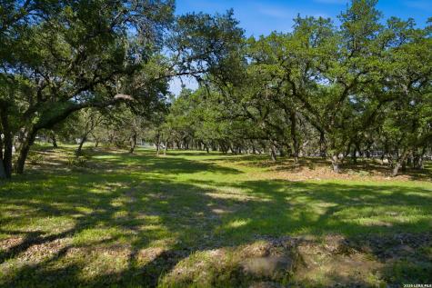 28337 Leslie Pfeiffer Drive Boerne TX 78015