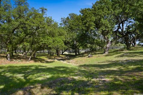 28337 Leslie Pfeiffer Drive Boerne TX 78015